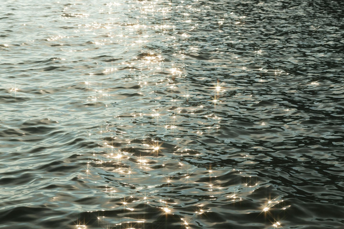 Sunlight reflects off the surface of rippling water.